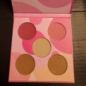 Coastal Scents Blush and Bronzer Mini Palette